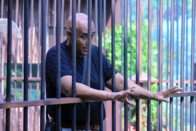 'द शौकीन्स' फिल्म के प्रमोशन के लिए 'बिग बॉस' पहुंची लीजा हेडन