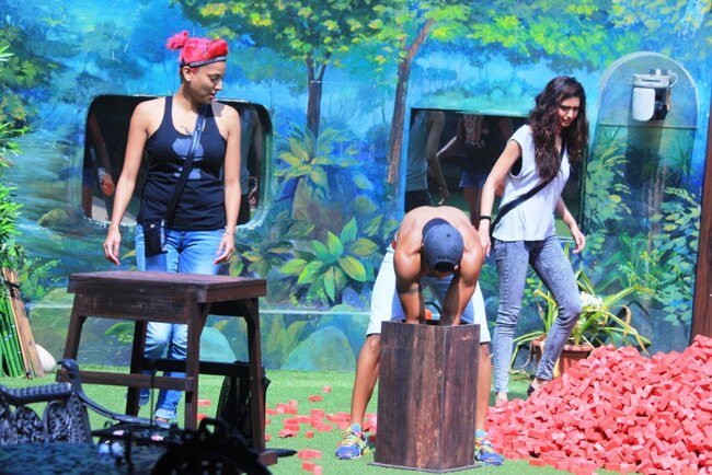 Bigg Boss 8: लग्जरी टास्क बन गया गले की फांस