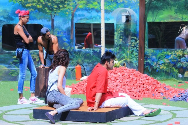 Bigg Boss 8: लग्जरी टास्क बन गया गले की फांस