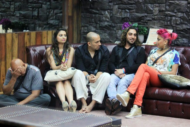 Bigg Boss: अब घर में गौहर की बहन निगार खान बनीं ड्रामा क्वीन