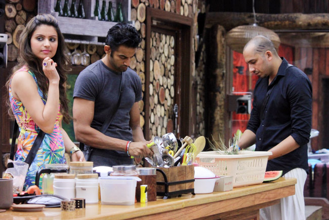 Bigg Boss: अब घर में गौहर की बहन निगार खान बनीं ड्रामा क्वीन