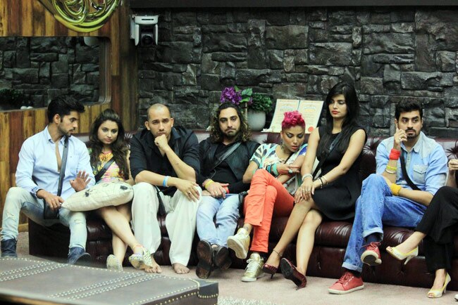 Bigg Boss: अब घर में गौहर की बहन निगार खान बनीं ड्रामा क्वीन