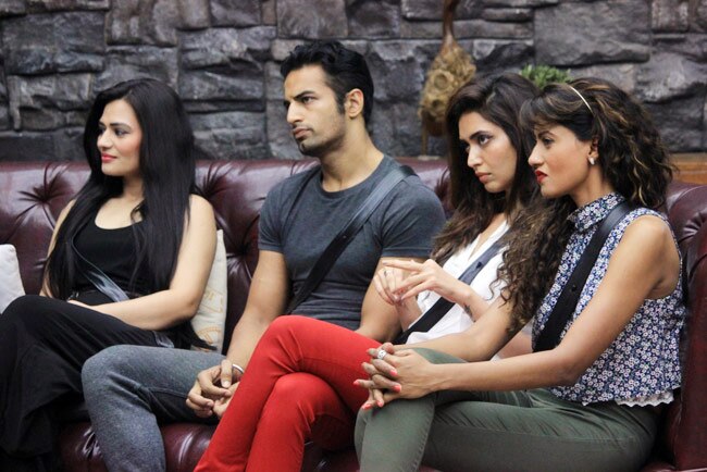 Bigg Boss: अब घर में गौहर की बहन निगार खान बनीं ड्रामा क्वीन