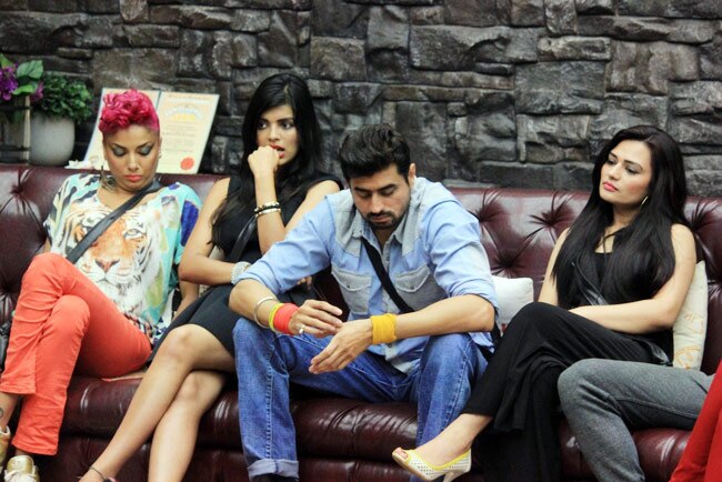 Bigg Boss: अब घर में गौहर की बहन निगार खान बनीं ड्रामा क्वीन