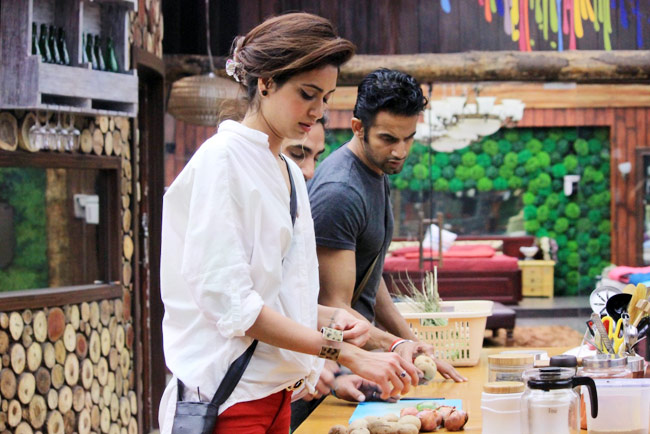 Bigg Boss: अब घर में गौहर की बहन निगार खान बनीं ड्रामा क्वीन