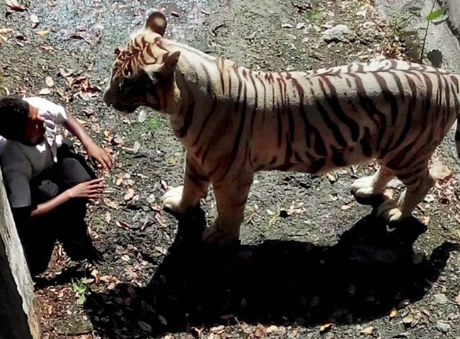 साल 2014: तस्वीरों में देश और दुनिया की बड़ी खबरें