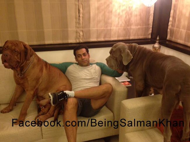 ये 10 'तेवर' बताते हैं, आप हैं सलमान के सुपरफैन...