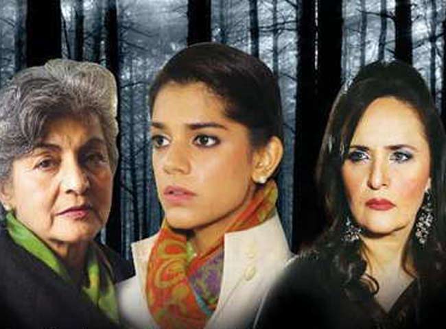 2014 में भारत में पाकिस्‍तानी धारावाहिकों का धमाल