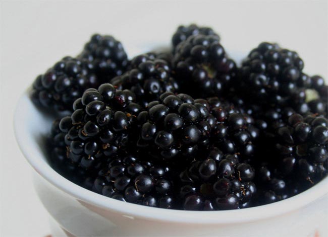 ब्रेन पावर बढ़ाने के लिए 10 पौष्टिक आहार