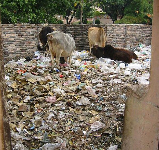 आज भी इन 10 चीजों के गुलाम हैं भारतीय