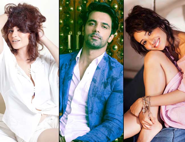 टीवी सितारों ने बताए अपने न्यू ईयर रिजोल्यूशन