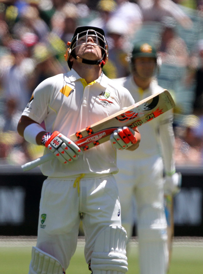 एडिलेट टेस्ट का पहला दिन डेविड वार्नर की सेंचुरी के नाम