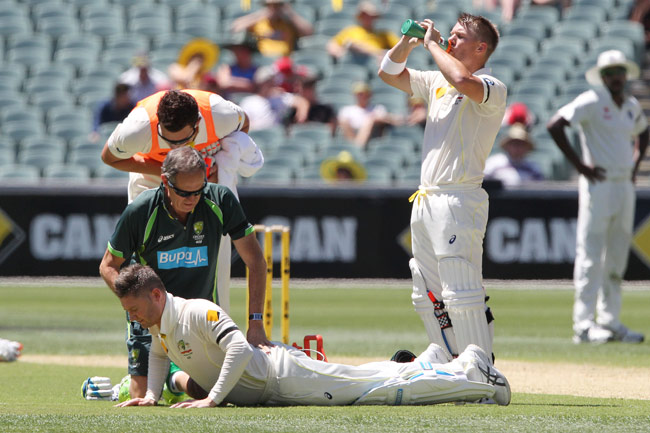 एडिलेट टेस्ट का पहला दिन डेविड वार्नर की सेंचुरी के नाम