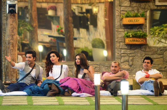 Bigg Boss 8: एस्ट्रोलॉजर ने दिया करिश्मा को झटका...