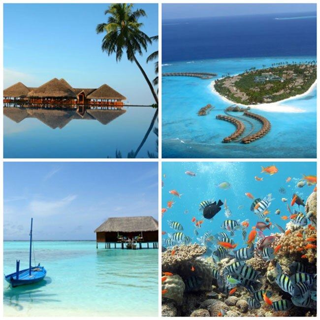 हनीमून के लिए चुनिए कोई अनूठी जगह...