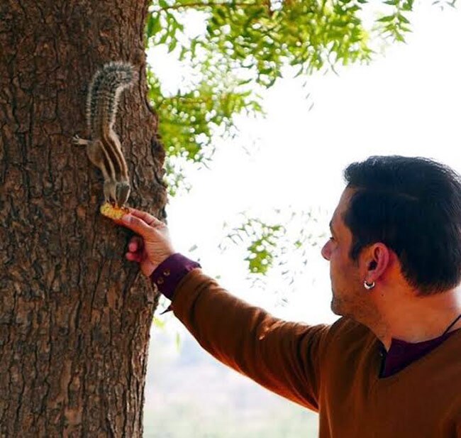 सलमान को हुआ ग‍िलहरी से प्‍यार, देखें तस्‍वीरें...