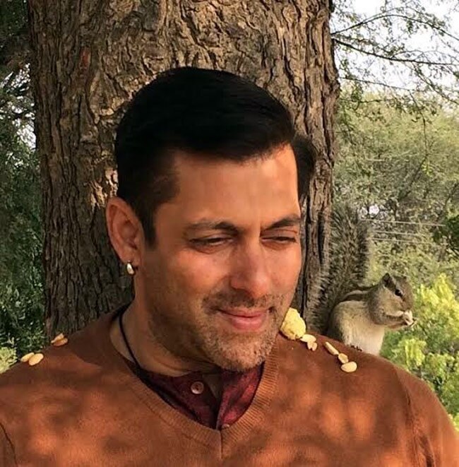 सलमान को हुआ ग‍िलहरी से प्‍यार, देखें तस्‍वीरें...