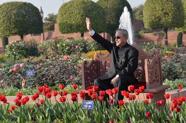 मुगल गार्डन में ट्यूलिप और प्रणब दा, दोनों मुस्कुराए