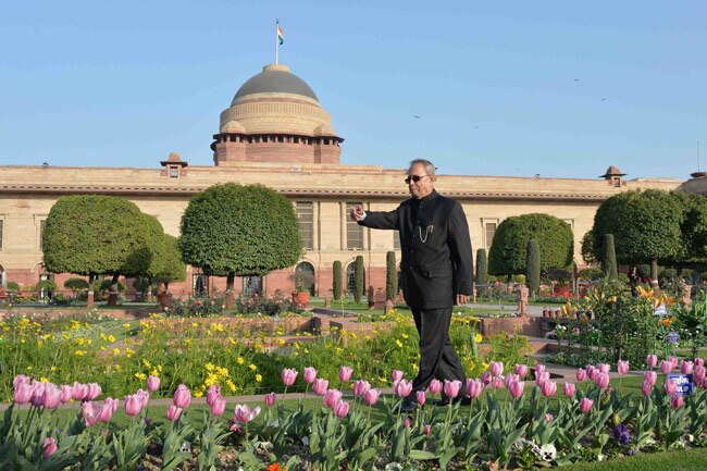 मुगल गार्डन में ट्यूलिप और प्रणब दा, दोनों मुस्कुराए