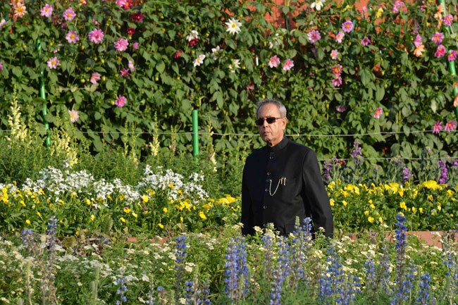 मुगल गार्डन में ट्यूलिप और प्रणब दा, दोनों मुस्कुराए