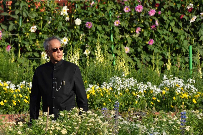 मुगल गार्डन में ट्यूलिप और प्रणब दा, दोनों मुस्कुराए