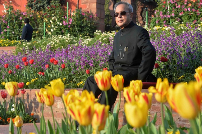 मुगल गार्डन में ट्यूलिप और प्रणब दा, दोनों मुस्कुराए