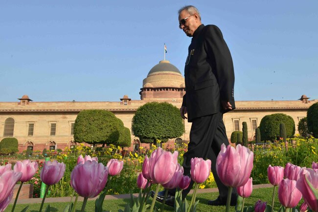 मुगल गार्डन में ट्यूलिप और प्रणब दा, दोनों मुस्कुराए