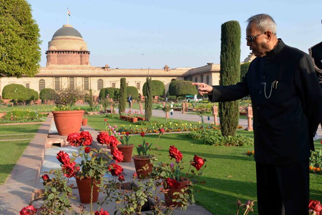 मुगल गार्डन में ट्यूलिप और प्रणब दा, दोनों मुस्कुराए