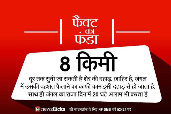 क्‍या आप इन मजेदार तथ्‍यों के बारे में जानते हैं?