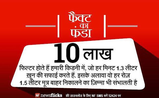 क्‍या आप इन मजेदार तथ्‍यों के बारे में जानते हैं?