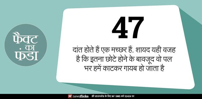 क्‍या आप इन मजेदार तथ्‍यों के बारे में जानते हैं?