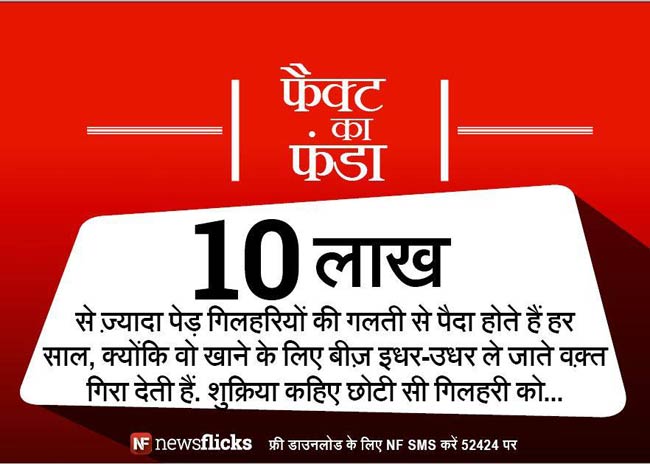 क्‍या आप इन मजेदार तथ्‍यों के बारे में जानते हैं?