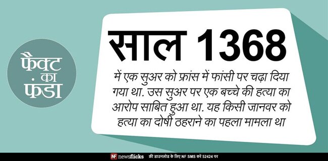 क्‍या आप इन मजेदार तथ्‍यों के बारे में जानते हैं?