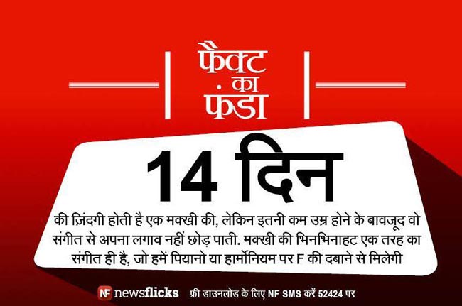 क्‍या आप इन मजेदार तथ्‍यों के बारे में जानते हैं?