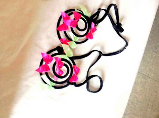 'WC' में जीत पर न्‍यूड होने का दावा करने वाली  पूनम पांडे Happy birthday