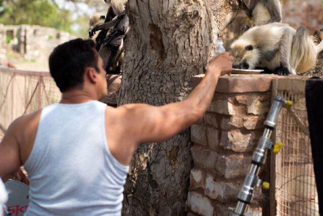 शूटिंग, सलमान और उनका 'प्रेम रतन धन पायो'