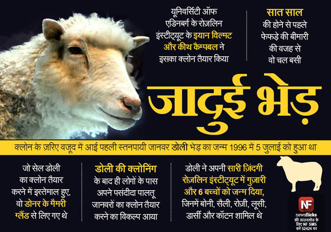 मजबूत जनरल नॉलेज के लिए देखें ये तस्‍वीरें