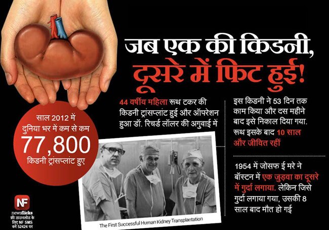 मजबूत जनरल नॉलेज के लिए देखें ये तस्‍वीरें