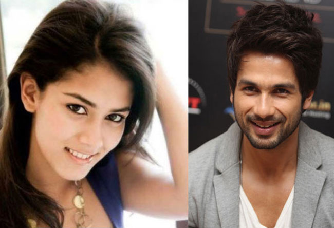 शाहिद की मंगेतर मीरा राजपूत की फेयरवेल पार्टी, देखें तस्वीरें