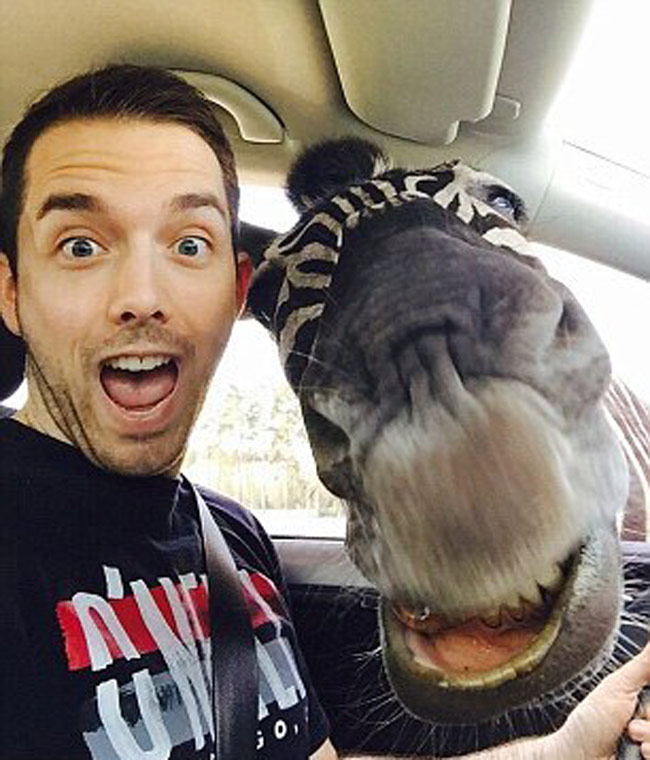 कार में घुसा जेब्रा, वायरल हुई Selfie