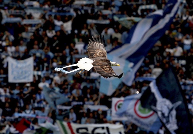 जब खेल के मैदान पर बिन बुलाए मेहमानों ने मारी एंट्री