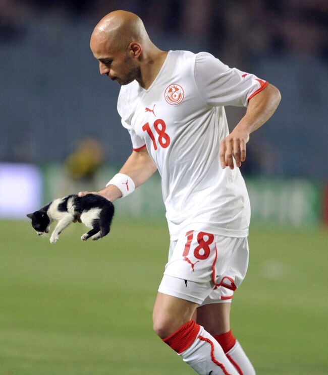 जब खेल के मैदान पर बिन बुलाए मेहमानों ने मारी एंट्री