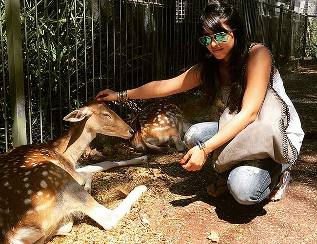 रोहित-रितिका की सगाई की तस्वीरें...