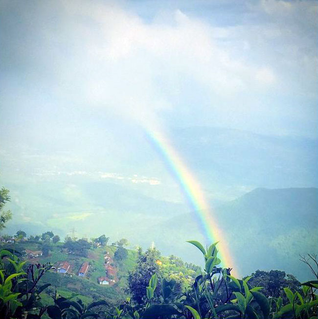 बॉलीवुड स्टार्स ने इंस्टाग्राम पर शेयर की अपनी मस्तियां