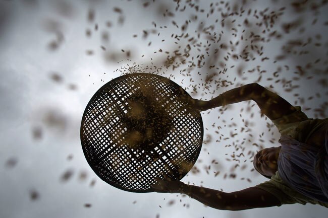 किसानों के उदास माथों को मानसून की छींटों का इंतजार