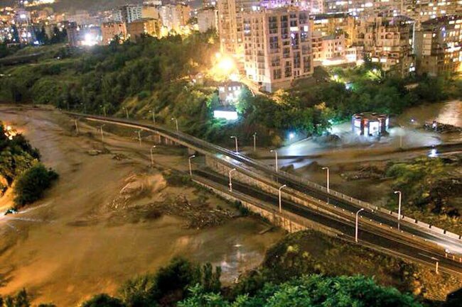 जब बाढ़ के बाद जानवर चिड़ियाघर से आए बाहर