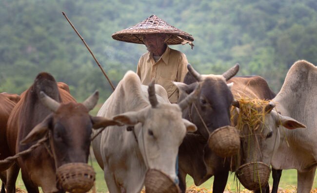 थोड़ी सी बारिश हुई है, थोड़ी है बाकी