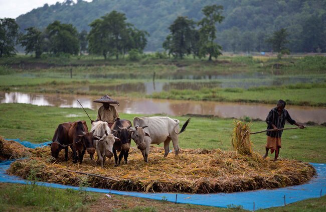 थोड़ी सी बारिश हुई है, थोड़ी है बाकी