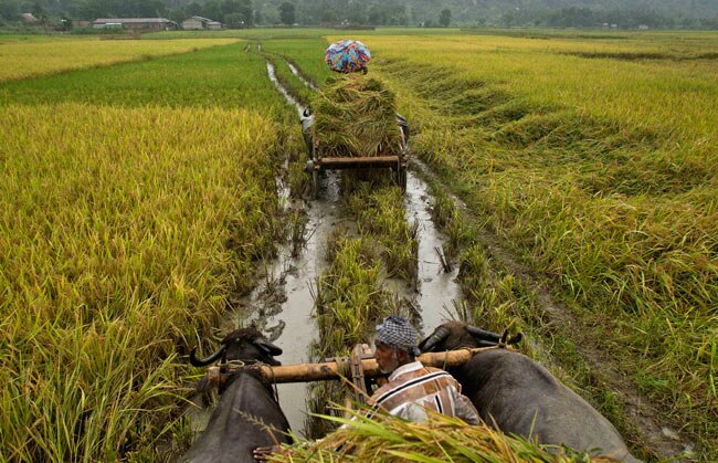 थोड़ी सी बारिश हुई है, थोड़ी है बाकी