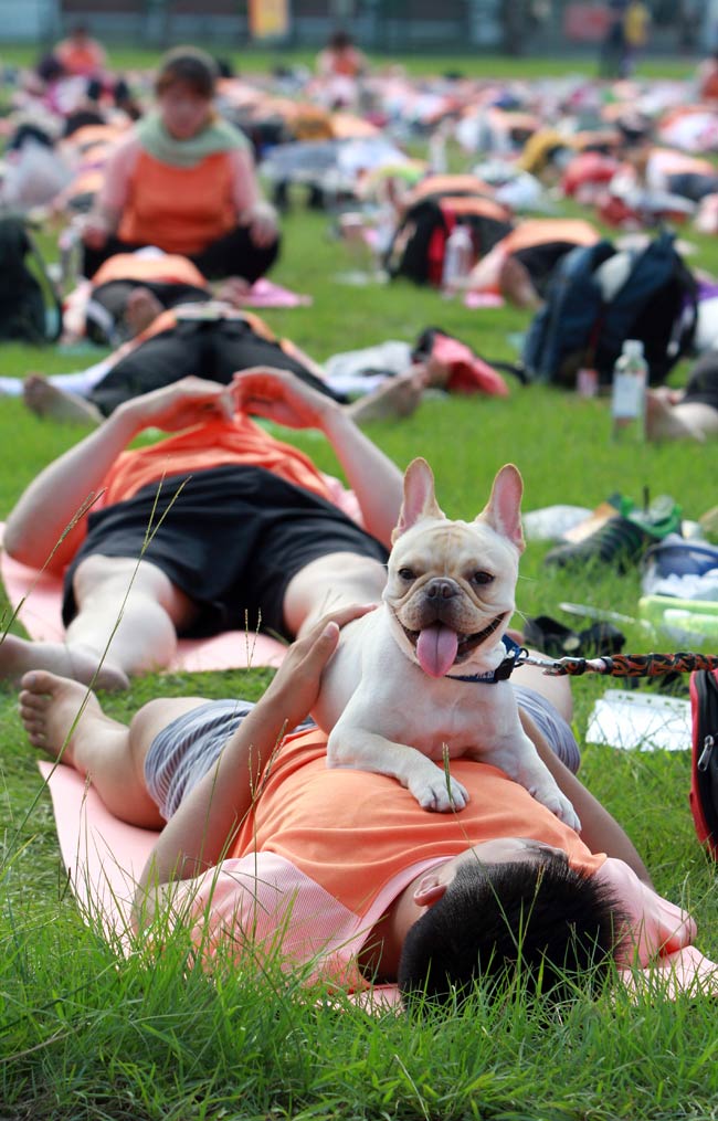 योग दिवस पर दुनिया में ऐसे बिखरी योग की छटा